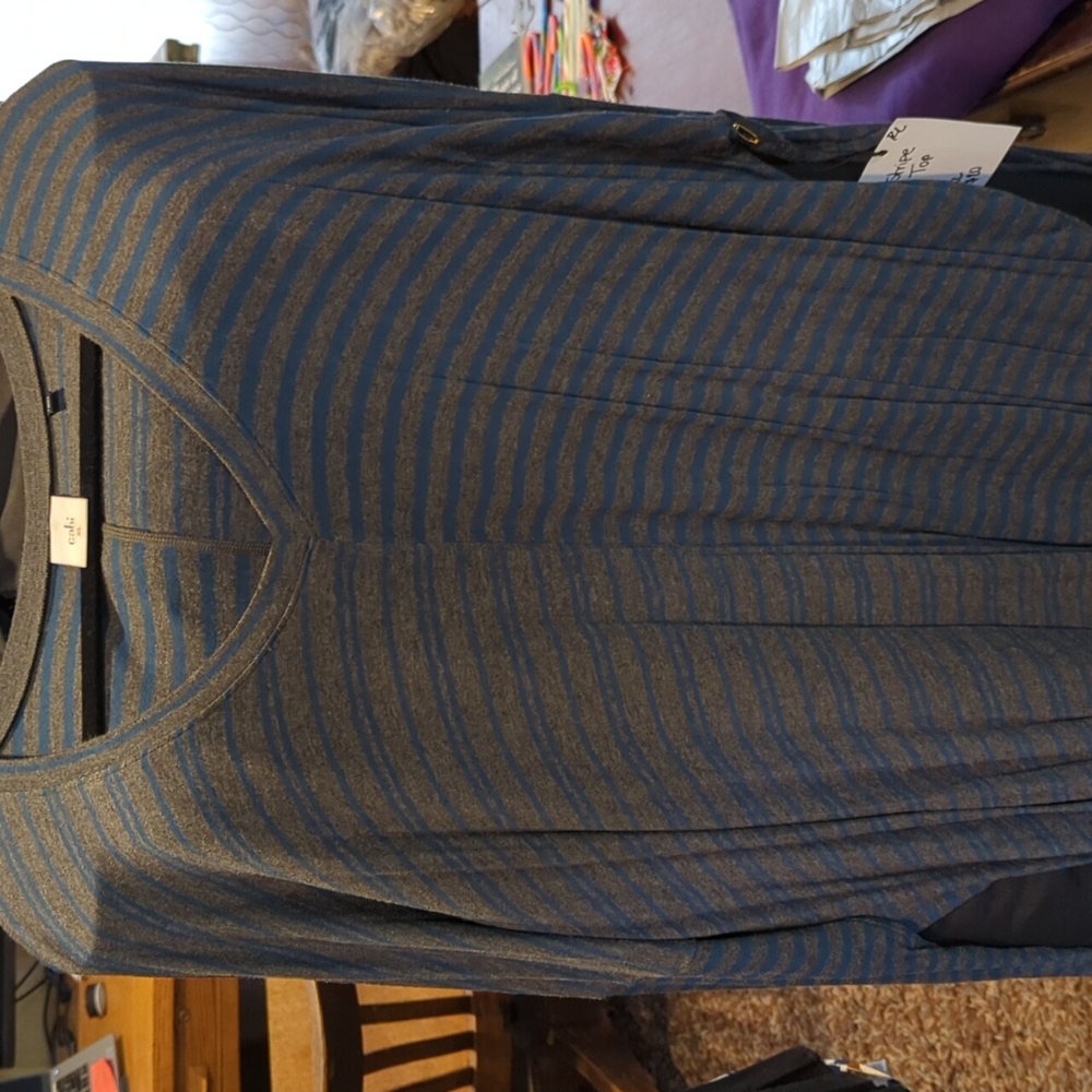CAbi Blue and Gray Striped Top